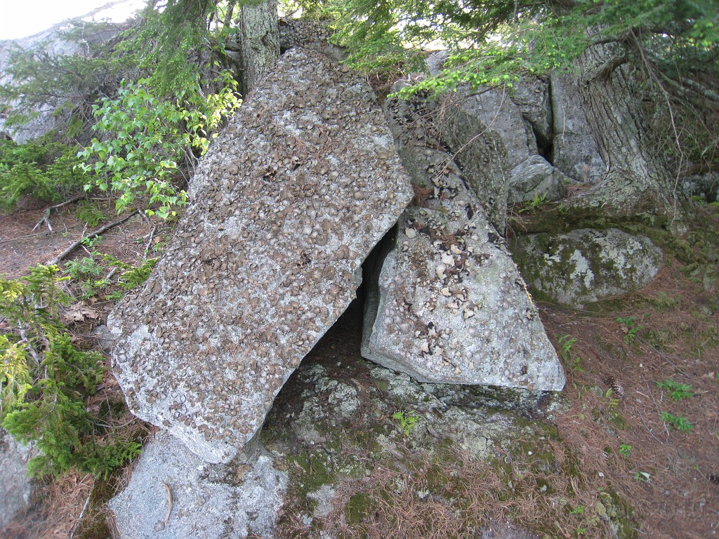 Elwell Trail NH 2010 135.jpg - The magic mushroom rocks.
